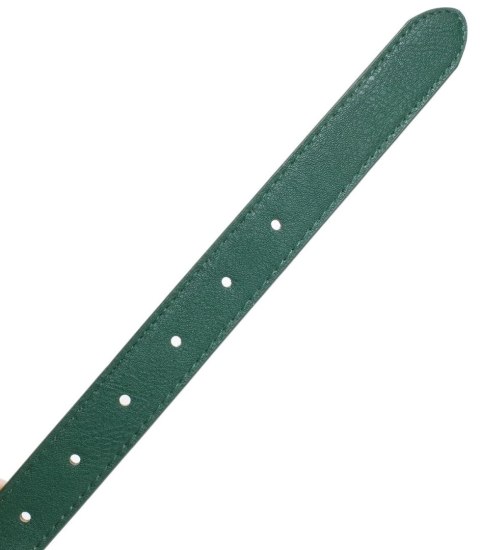 Gładki damski pasek z eko skóry ze złotą sprzączką 117x2,3 cm Elegancki (Zielony) Gładki damski pasek z eko skóry ze złotą sprzączką 117x2,3 cm Elegancki (Zielony)