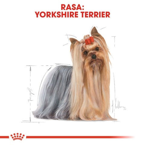 ROYAL CANIN BHN Yorkshire Terrier Adult - mokra karma dla psa dorosłego - 12x85g ROYAL CANIN BHN Yorkshire Terrier Adult - mokra karma dla psa dorosłego - 12x85g