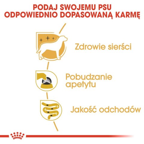 ROYAL CANIN BHN Yorkshire Terrier Adult - mokra karma dla psa dorosłego - 12x85g ROYAL CANIN BHN Yorkshire Terrier Adult - mokra karma dla psa dorosłego - 12x85g