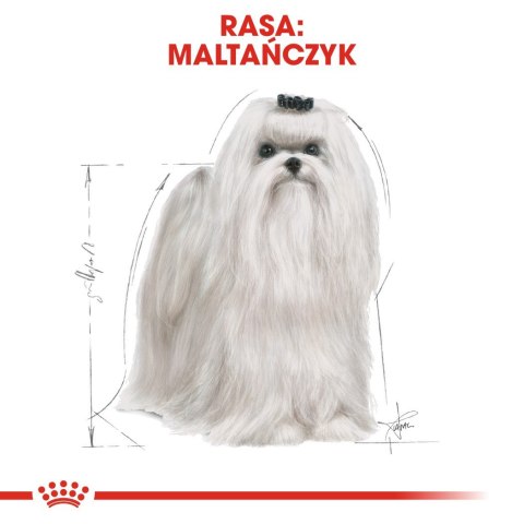 ROYAL CANIN BHN Maltese Adult - sucha karma dla psa dorosłego - 1,5kg ROYAL CANIN BHN Maltese Adult - sucha karma dla psa dorosłego - 1,5kg