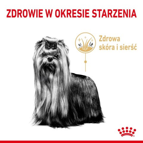 ROYAL CANIN BHN Yorkshire Ageing 8+ - sucha karma dla psa starszego - 3 kg ROYAL CANIN BHN Yorkshire Ageing 8+ - sucha karma dla psa starszego - 3 kg