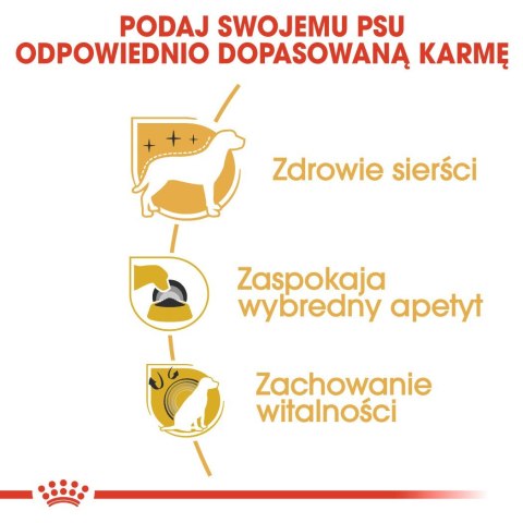 Royal Canin BHN Yorkshire Terrier Adult - sucha karma dla psa dorosłego - 1,5 kg Royal Canin BHN Yorkshire Terrier Adult - sucha karma dla psa dorosłego - 1,5 kg