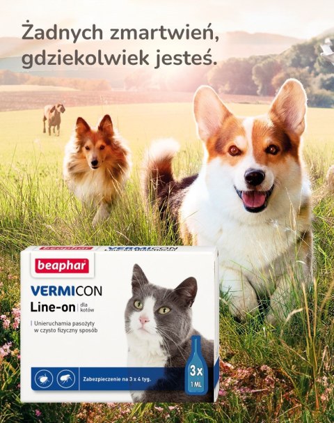 BEAPHAR VERMIcon Line-on Cat - krople przeciw pasożytom dla kota - 3x 1ml BEAPHAR VERMIcon Line-on Cat - krople przeciw pasożytom dla kota - 3x 1ml
