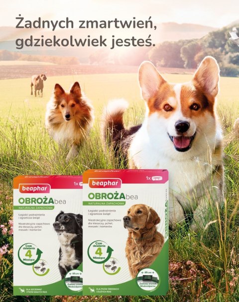 Beaphar obroża ochronna na Kleszcze Pchły dla psa rozm. M/L Beaphar obroża ochronna na Kleszcze Pchły dla psa rozm. M/L