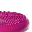 Dysk pompowany PROFIT DK 2111