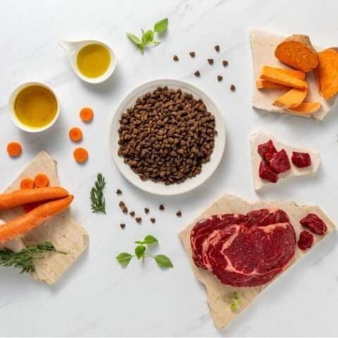 VetExpert Raw Paleo Ultra Wołowina Medium&Large Puppy 2kg VetExpert Raw Paleo Ultra Wołowina Medium&Large Puppy 2kg