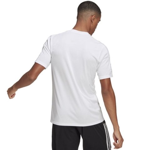 Koszulka adidas Squadra 21 JSY M GN5726 Koszulka adidas Squadra 21 JSY M GN5726