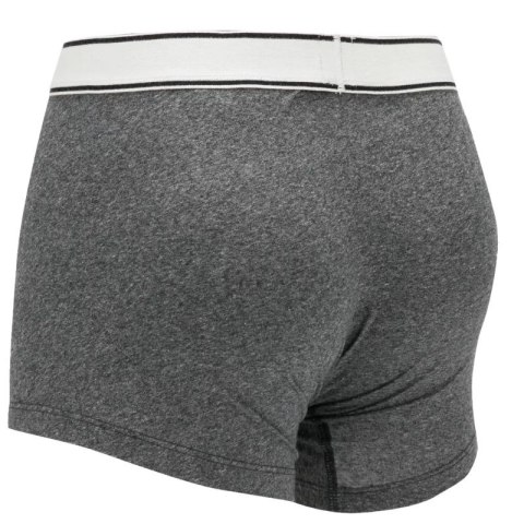 Bielizna Levi's Boxer 2 Pairs Briefs 37149-0398 Bielizna Levi's Boxer 2 Pairs Briefs 37149-0398