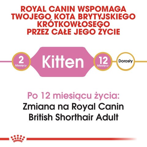 Royal Canin FBN British Shorthair Kitten - sucha karma dla kociąt - 2 kg Royal Canin FBN British Shorthair Kitten - sucha karma dla kociąt - 2 kg