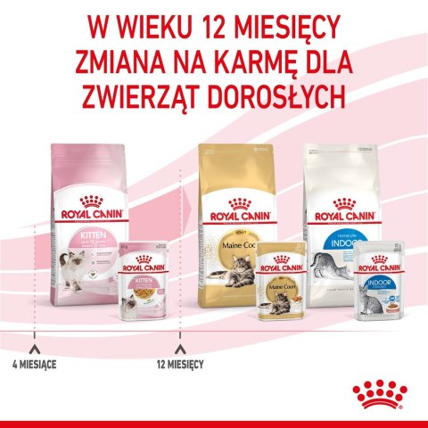 ROYAL CANIN FHN Kitten Instinctive in Jelly - mokra karma dla kociąt - 12x85g ROYAL CANIN FHN Kitten Instinctive in Jelly - mokra karma dla kociąt - 12x85g