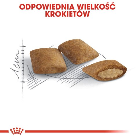 ROYAL CANIN Ageing +12 0,4kg ROYAL CANIN Ageing +12 0,4kg