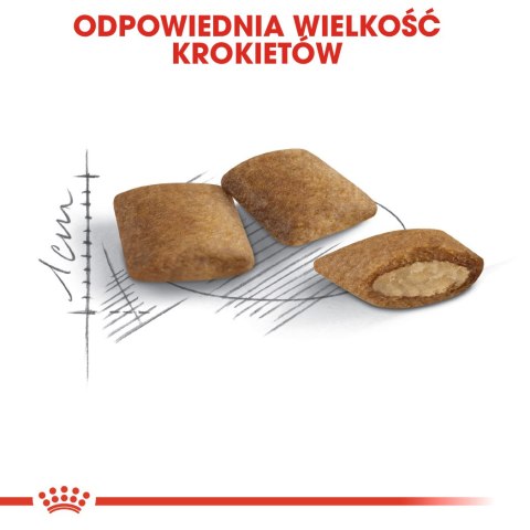 ROYAL CANIN Ageing +12 2kg ROYAL CANIN Ageing +12 2kg