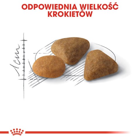 ROYAL CANIN FHN Exigent Savour Sensation - sucha karma dla kota dorosłego - 10kg ROYAL CANIN FHN Exigent Savour Sensation - sucha karma dla kota dorosłego - 10kg