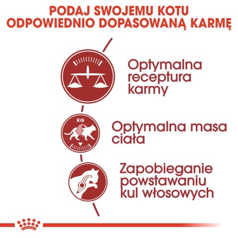 ROYAL CANIN FHN Regular Fit 32 - sucha karma dla kota dorosłego - 2 kg ROYAL CANIN FHN Regular Fit 32 - sucha karma dla kota dorosłego - 2 kg