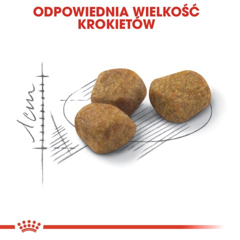 ROYAL CANIN FHN Regular Fit 32 - sucha karma dla kota dorosłego - 400 g ROYAL CANIN FHN Regular Fit 32 - sucha karma dla kota dorosłego - 400 g