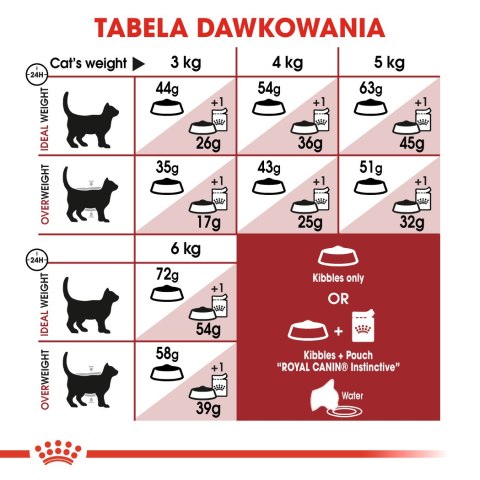ROYAL CANIN FHN Regular Fit 32 - sucha karma dla kota dorosłego - 400 g ROYAL CANIN FHN Regular Fit 32 - sucha karma dla kota dorosłego - 400 g