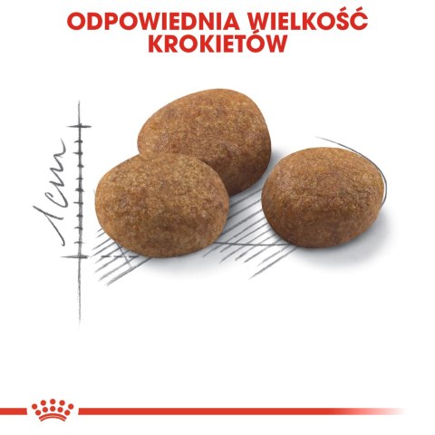 ROYAL CANIN FHN Sterilised 7+ - sucha karma dla kota dorosłego - 10 kg ROYAL CANIN FHN Sterilised 7+ - sucha karma dla kota dorosłego - 10 kg