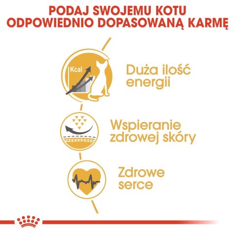ROYAL CANIN FBN Sphynx Adult - sucha karma dla dorosłego kota - 2kg ROYAL CANIN FBN Sphynx Adult - sucha karma dla dorosłego kota - 2kg