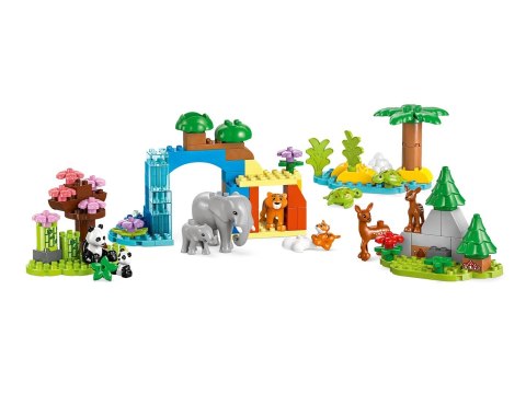 LEGO DUPLO TOWN 10446 Rodziny dzikich zwierząt 3w1 LEGO DUPLO TOWN 10446 Rodziny dzikich zwierząt 3w1