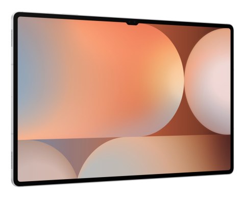Samsung Galaxy Tab S10 Ultra (X926) WiFi+5G 16GB/1TB Silver Samsung Galaxy Tab S10 Ultra (X926) WiFi+5G 16GB/1TB Silver