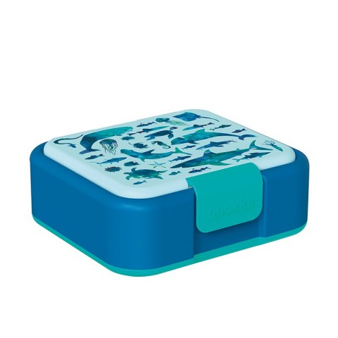 Quokka Twist Kids - Pojemnik na żywność z podwójnymi ściankami / lunchbox (Sea Animals) Quokka Twist Kids - Pojemnik na żywność z podwójnymi ściankami / lunchbox (Sea Animals)