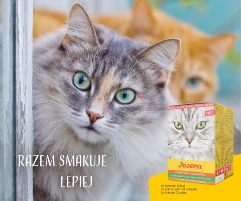 JOSERA Multipack Pate Kurczak kaczka indyk - mokra karma dla kota - 6x85 g JOSERA Multipack Pate Kurczak kaczka indyk - mokra karma dla kota - 6x85 g