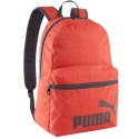 Plecak Puma Phase III 90118 02
