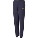 Spodnie Puma Neymar Jr Hero Junior 605547 06