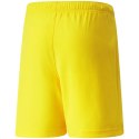 Spodenki Puma teamRise Short Jr 704943 07