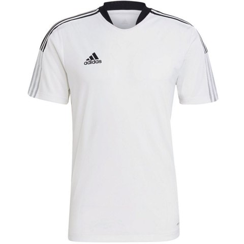 Koszulka adidas Tiro 21 Training Jersey M GM7590 Koszulka adidas Tiro 21 Training Jersey M GM7590