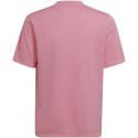 Koszulka adidas Entrada 22 Graphic Jersey Jr HC2632