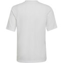 Koszulka adidas Entrada 22 Graphic Jersey Jr HF0120