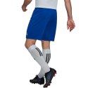 Spodenki adidas Entrada 22 M HG6294