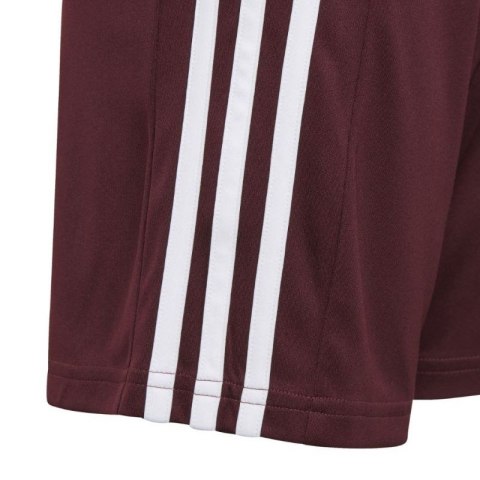 Spodenki adidas Squadra 21 Short Jr GN8081 Spodenki adidas Squadra 21 Short Jr GN8081