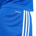 Spodenki adidas Squadra 25 M JH3405