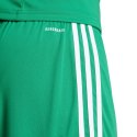 Spodenki adidas Squadra 25 M JN7482