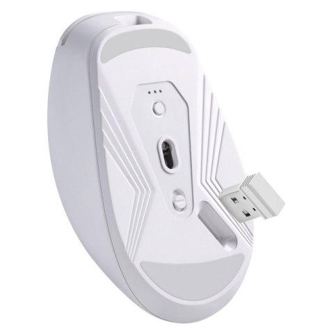 DEFENDER MYSZ NITTA MM-307 RF+BT OPTIC 1600dpi 6P BIAŁA