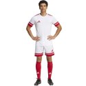 Spodenki adidas Squadra 25 M JH3404