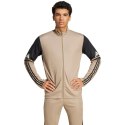 Bluza adidas Squadra 25 Training M JP3391
