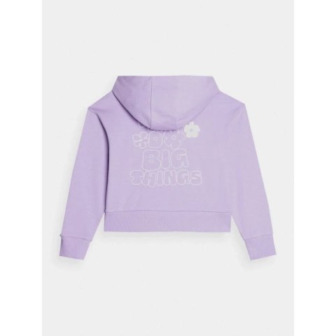 Bluza 4F Jr 4FJAW23TSWSF645-52S Bluza 4F Jr 4FJAW23TSWSF645-52S