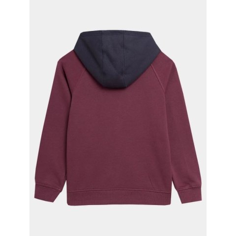 Bluza 4F Jr 4FJAW23TSWSM651-60S Bluza 4F Jr 4FJAW23TSWSM651-60S