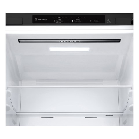 Lodówka LG GBV3100EEP