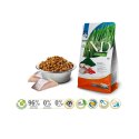 FARMINA N&D Spirulina Herring - sucha karma dla kota - 1.5 kg
