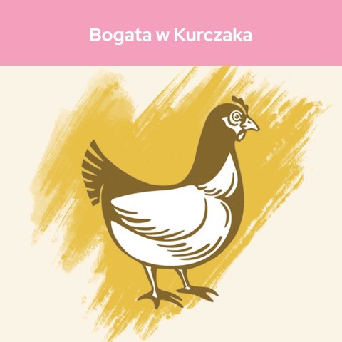 PURINA CAT CHOW Kitten Chicken - sucha karma dla kociąt - 1,5 kg PURINA CAT CHOW Kitten Chicken - sucha karma dla kociąt - 1,5 kg