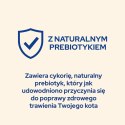 PURINA CAT CHOW Kitten Chicken - sucha karma dla kociąt - 15 kg