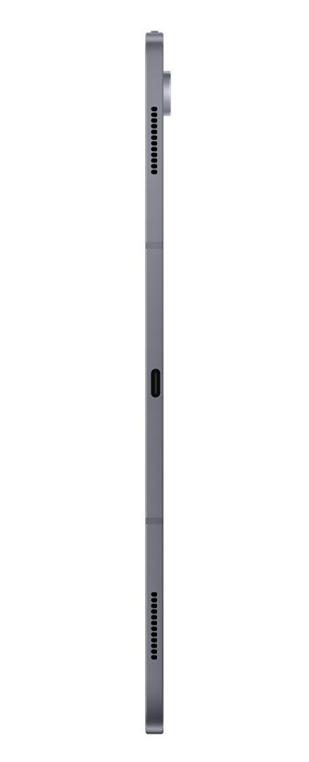 Samsung Galaxy Tab S10 Ultra (X920) 12/256GB Moonstone Gray Samsung Galaxy Tab S10 Ultra (X920) 12/256GB Moonstone Gray