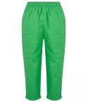 Letnie lniane spodnie spodenki chinosy 3/4 (Zielony) 40