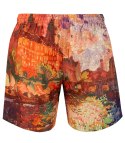 Spodenki szorty kąpielowe z artystycznym nadrukiem (Wielokolorowy) 3XL