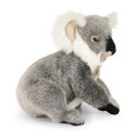 Rappa - Pluszowa maskotka stojący Miś Koala 25 cm Eco-Friendly