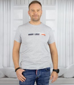 Męski t-shirt koszulka krótki rękaw ze sportowym nadrukiem (Szary) 3XL